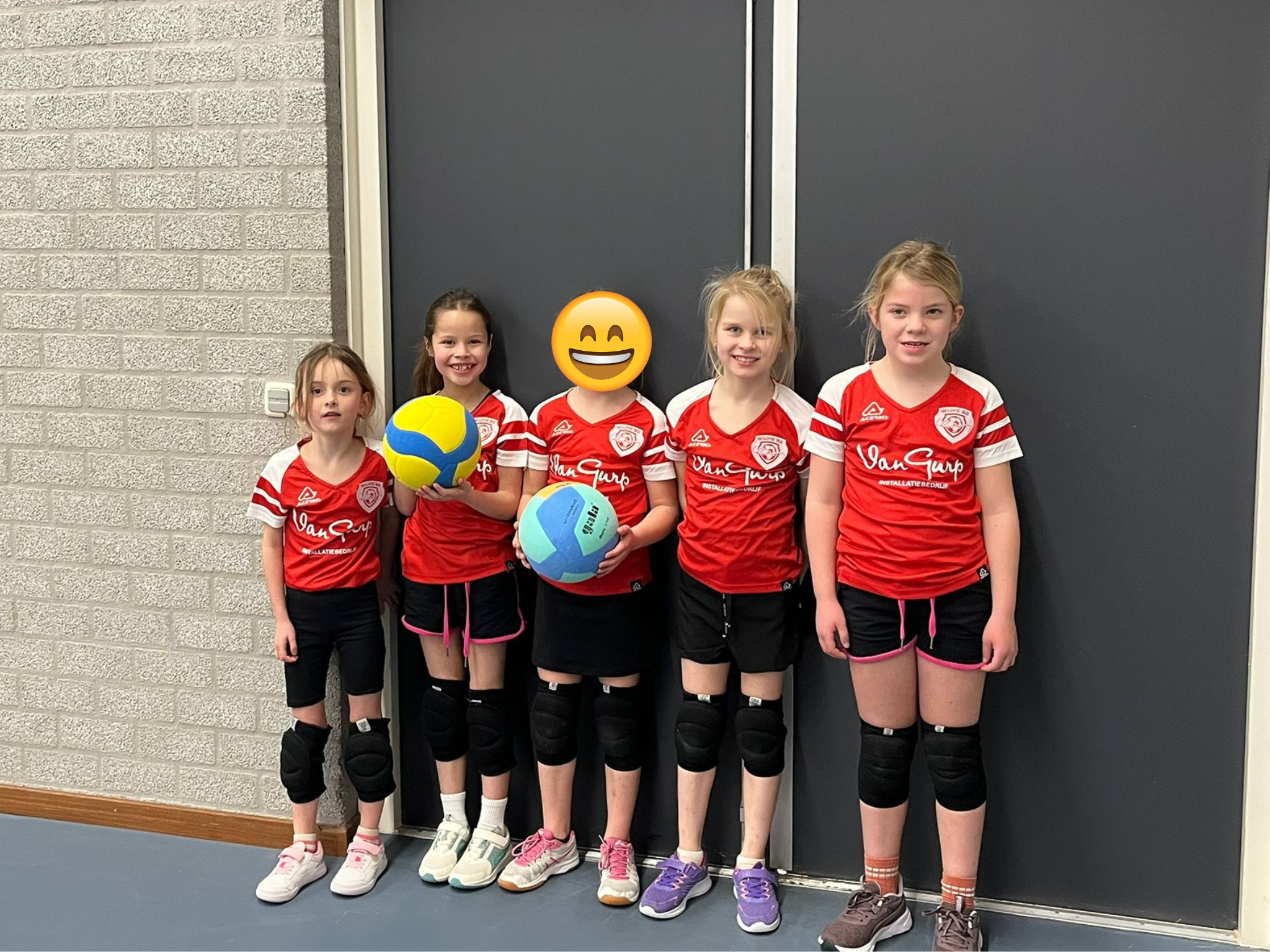 Volleystars Wijhe
