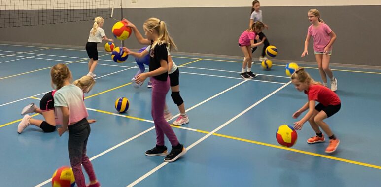 Volleystars Wijhe'92